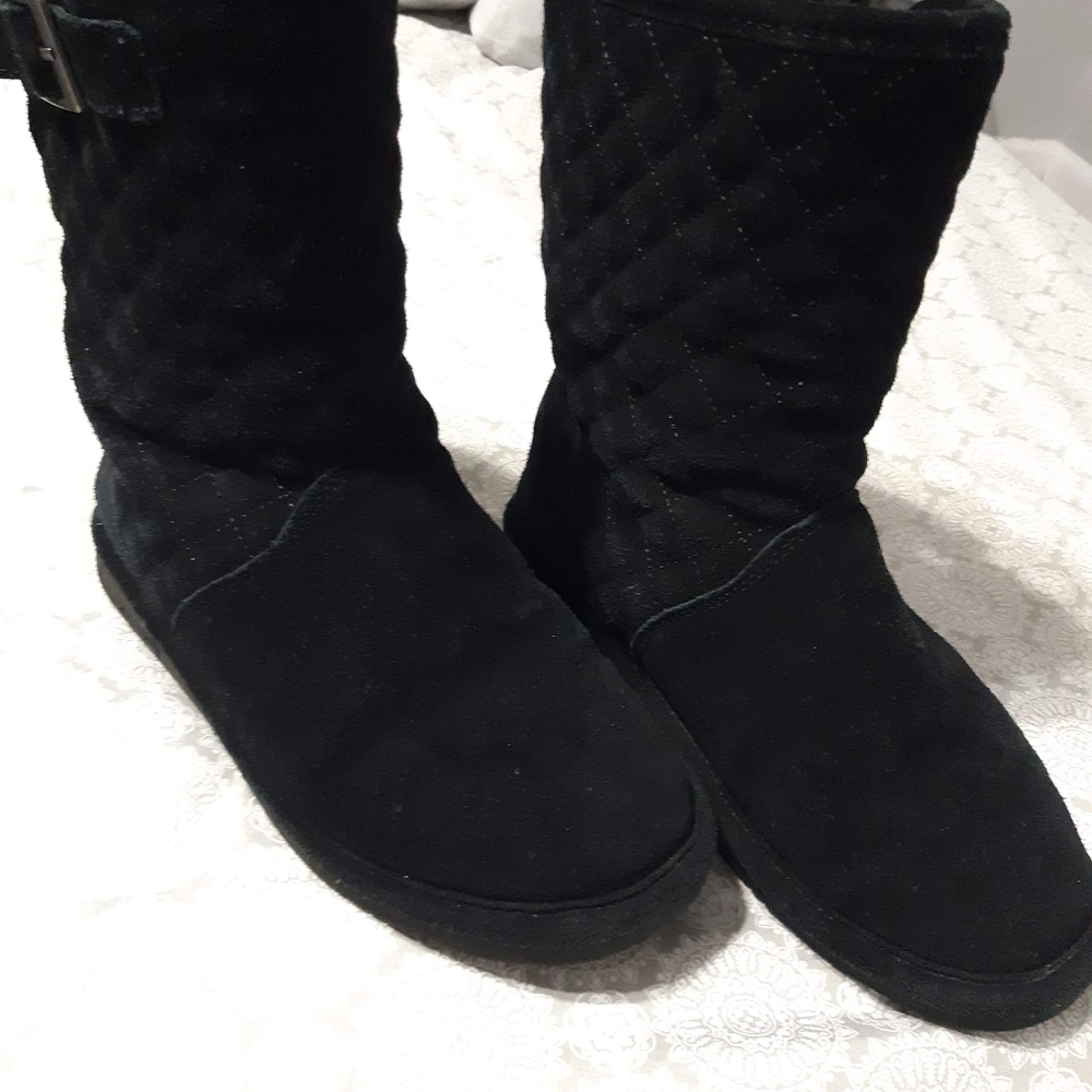 BearPaw - Picture 2 of 3